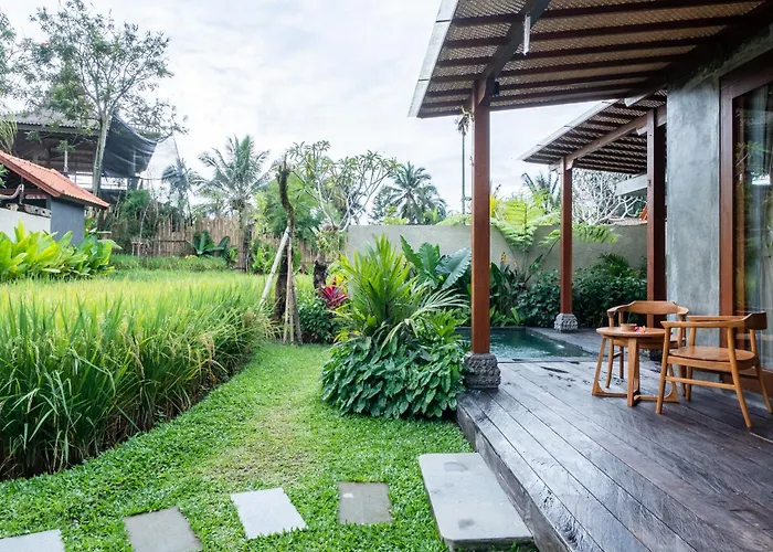 The Asiki Sebatu