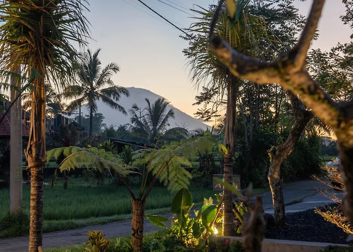 The Asiki Sebatu *